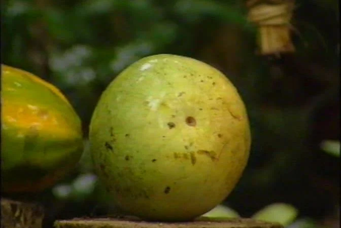 Кадры из ТВ шоу Последний герой (2001)